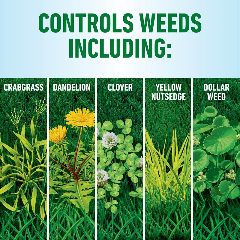 Roundup® for Northern Lawns - Image 8