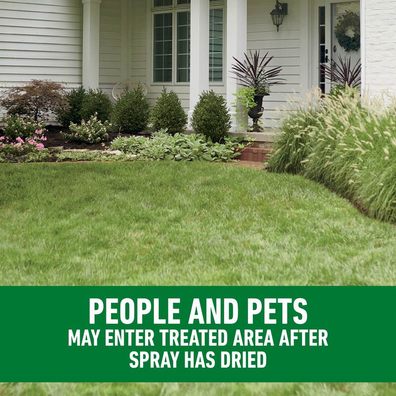 Roundup® for Northern Lawns - Image 9