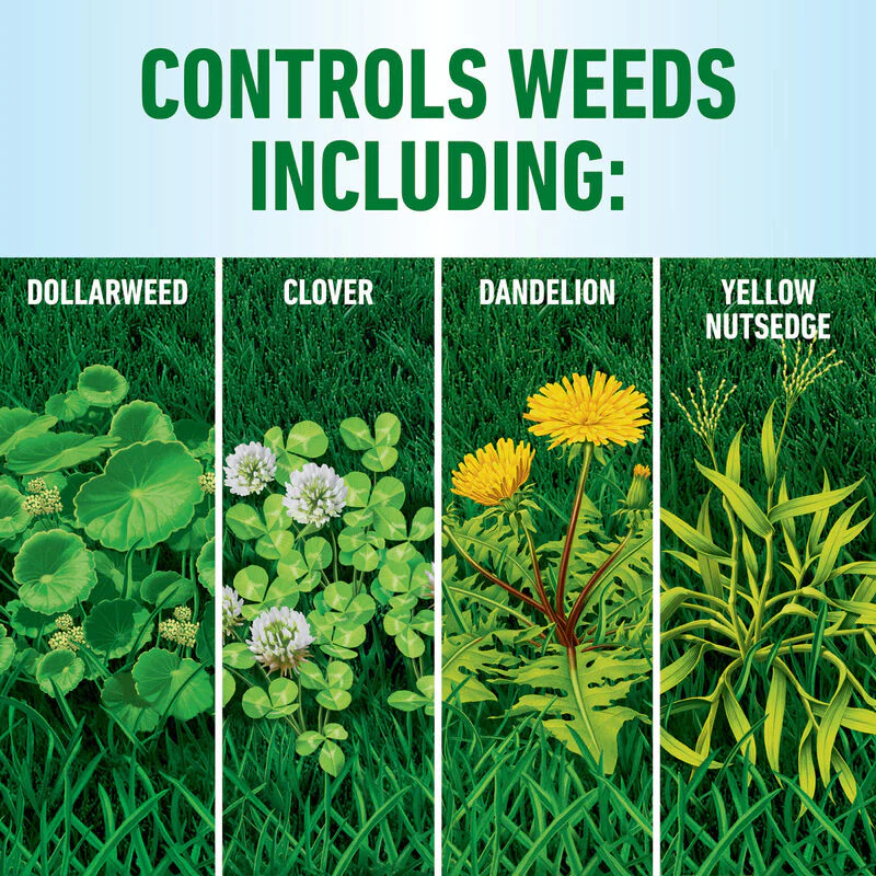 Roundup® for Southern Lawns - Image 6