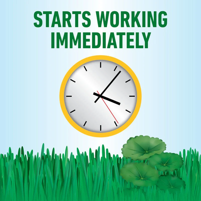 Roundup® for Southern Lawns - Image 7