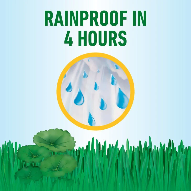 Roundup® for Southern Lawns - Image 8