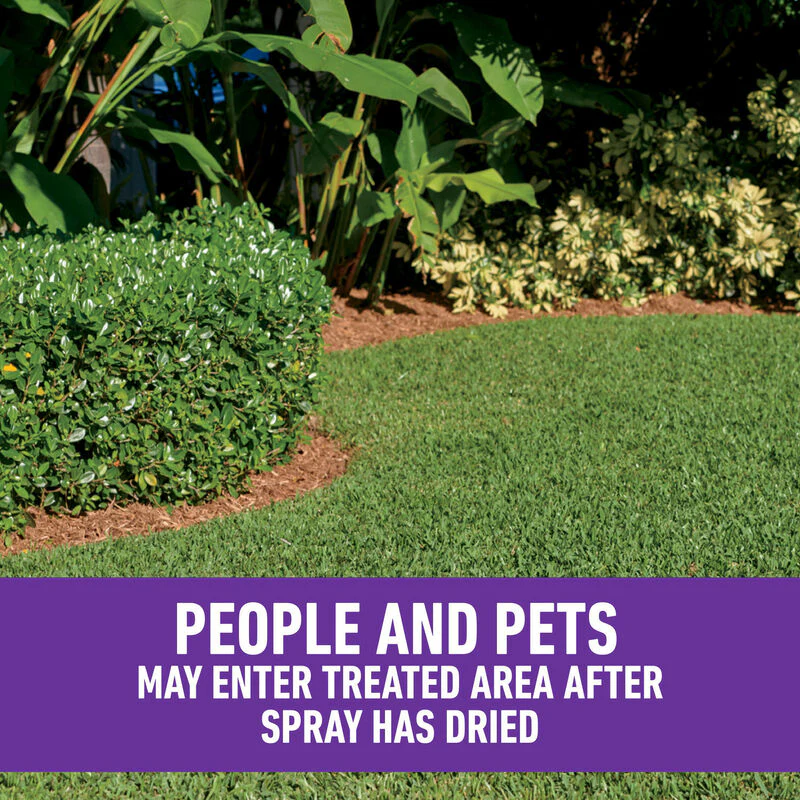 Roundup® for Southern Lawns - Image 9