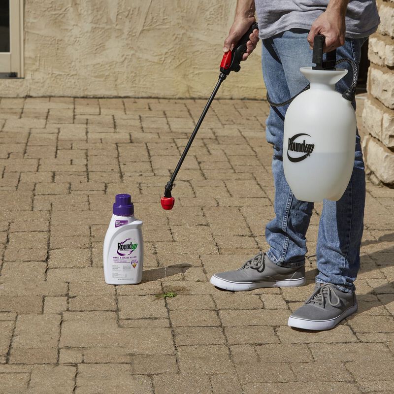 Roundup® Super Concentrate Weed & Grass Killer - Image 2
