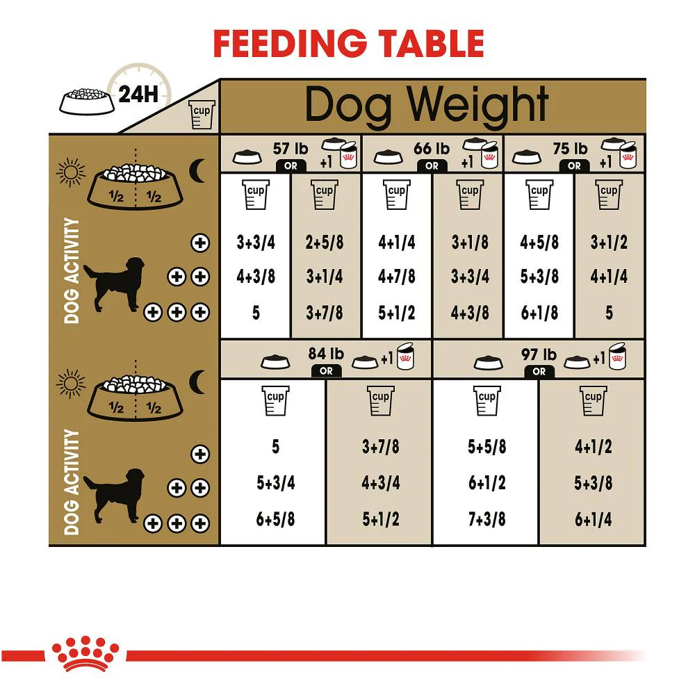 Royal Canin Breed Health Nutrition Labrador Retriever Adult Dry Dog Food - Image 3