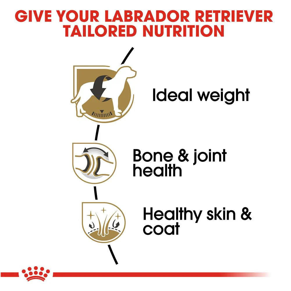 Royal Canin Breed Health Nutrition Labrador Retriever Adult Dry Dog Food - Image 4