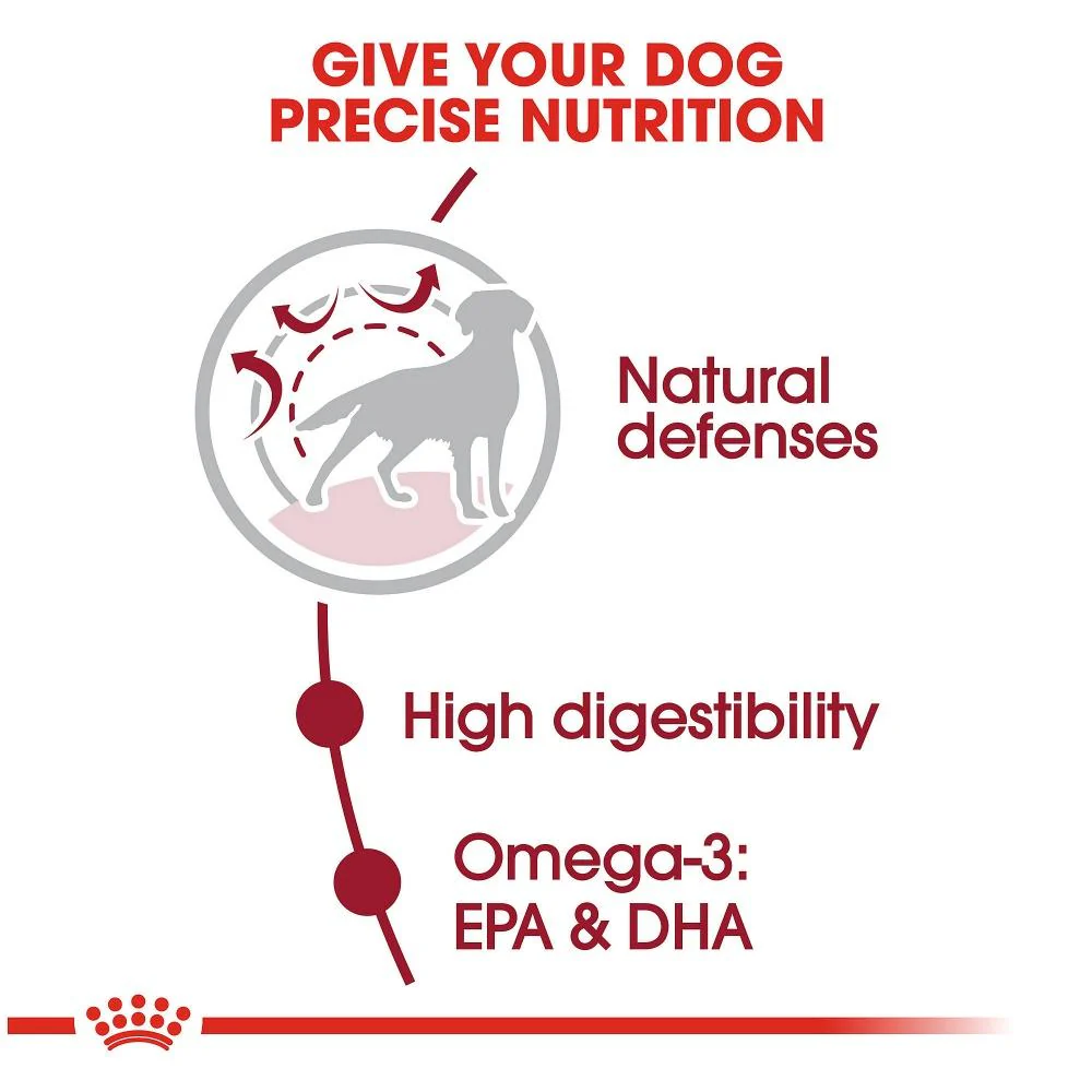 Royal Canin Size Health Nutrition Medium Adult Dry Dog Food - Image 4