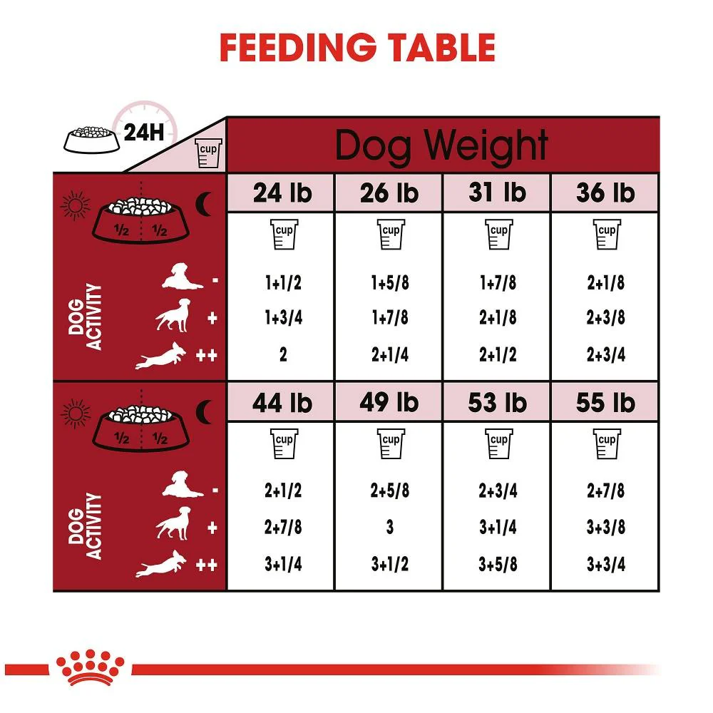 Royal Canin Size Health Nutrition Medium Adult Dry Dog Food - Image 6