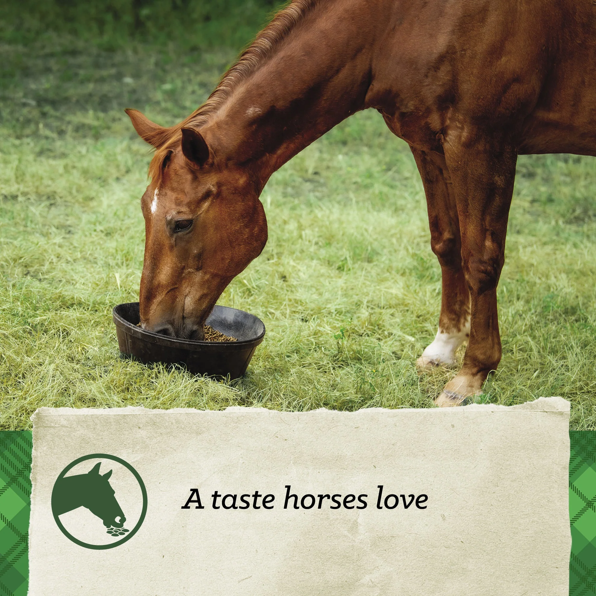Nutrena® SafeChoice® Mare & Foal - Image 10
