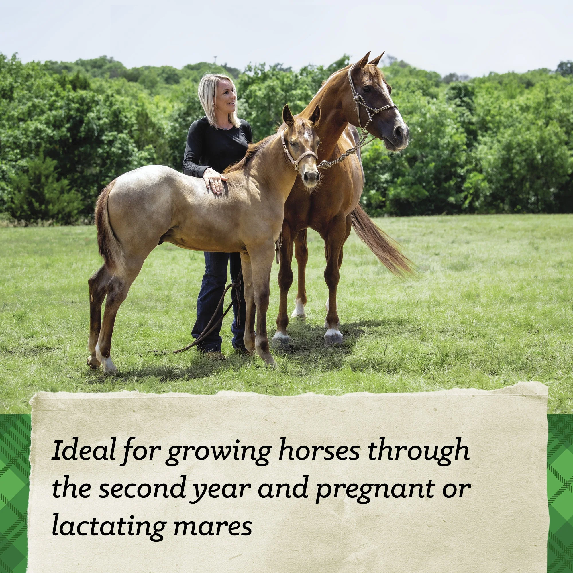 Nutrena® SafeChoice® Mare & Foal - Image 5