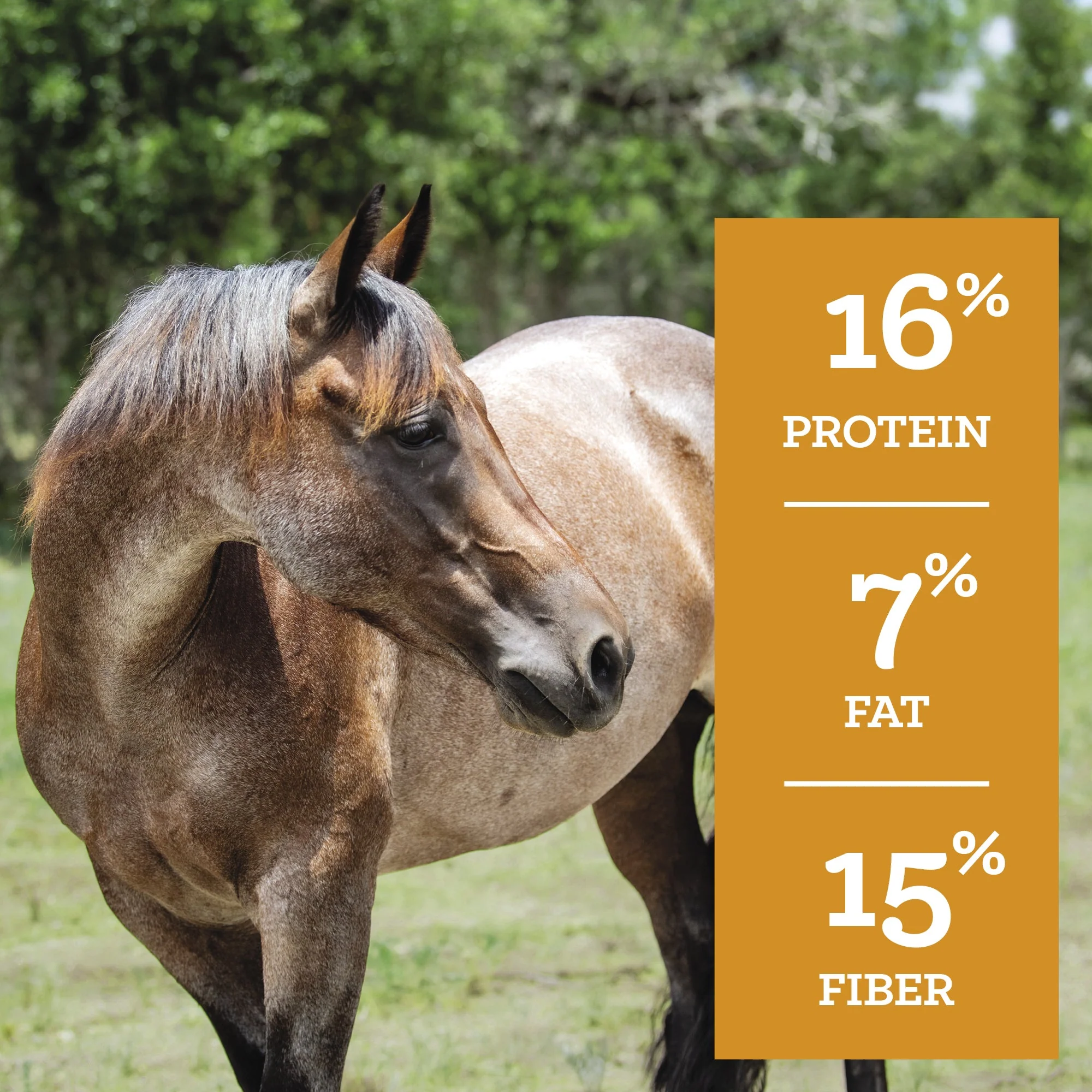Nutrena® SafeChoice® Mare & Foal - Image 6