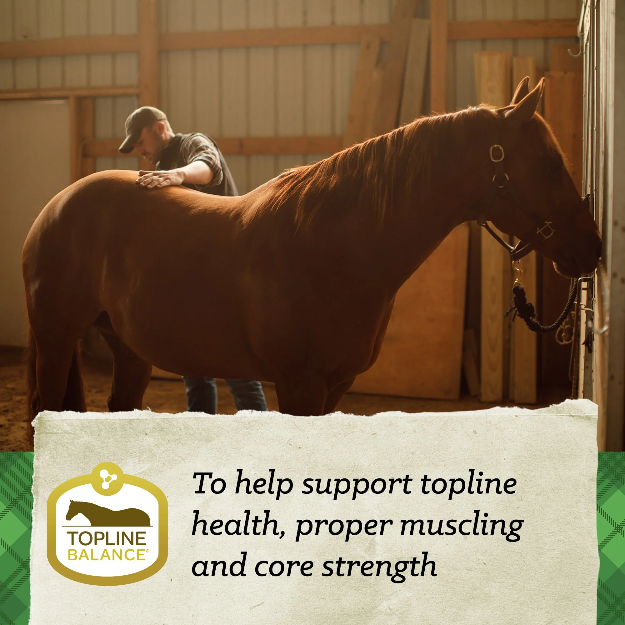 Nutrena® SafeChoice® Mare & Foal - Image 8