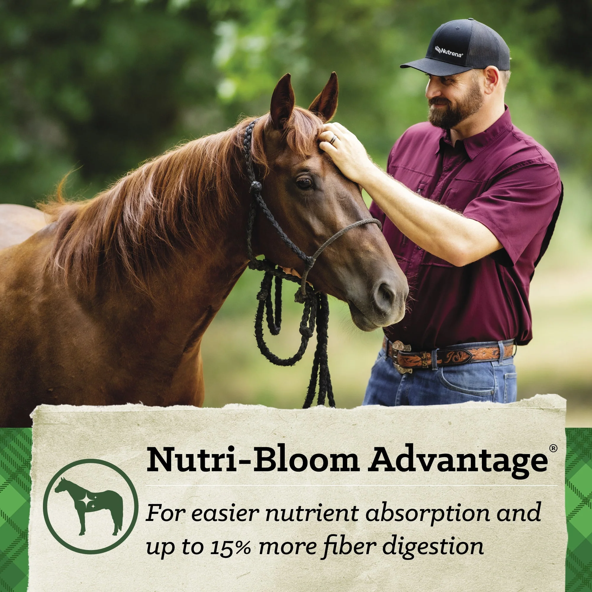 Nutrena® SafeChoice® Mare & Foal - Image 9