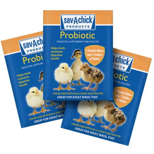 Sav-A-Chick® Probiotic Supplement