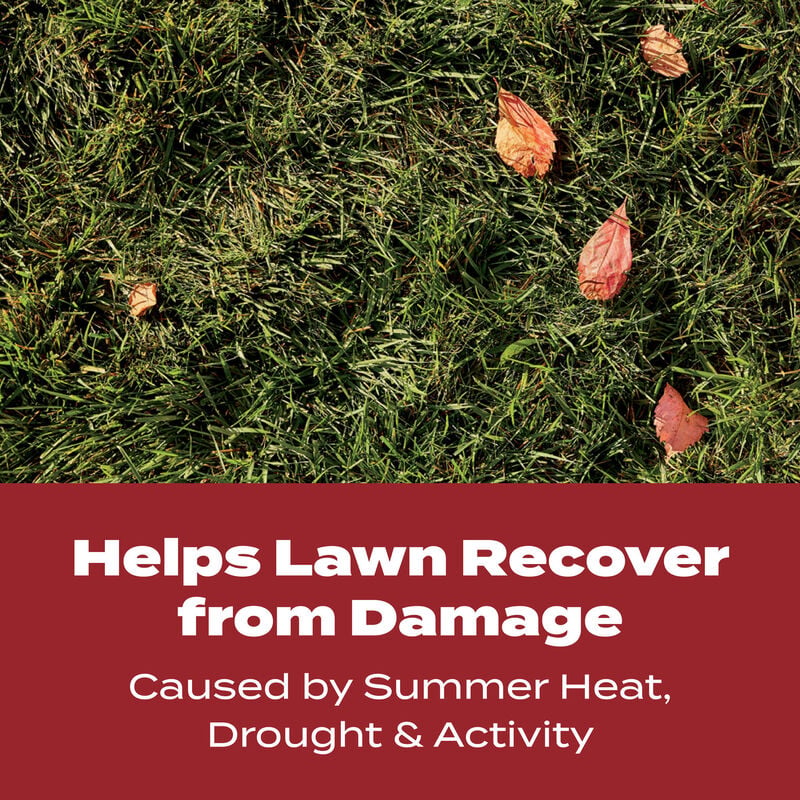 Scotts® Turf Builder® WinterGuard® Fall Lawn Food - Image 4