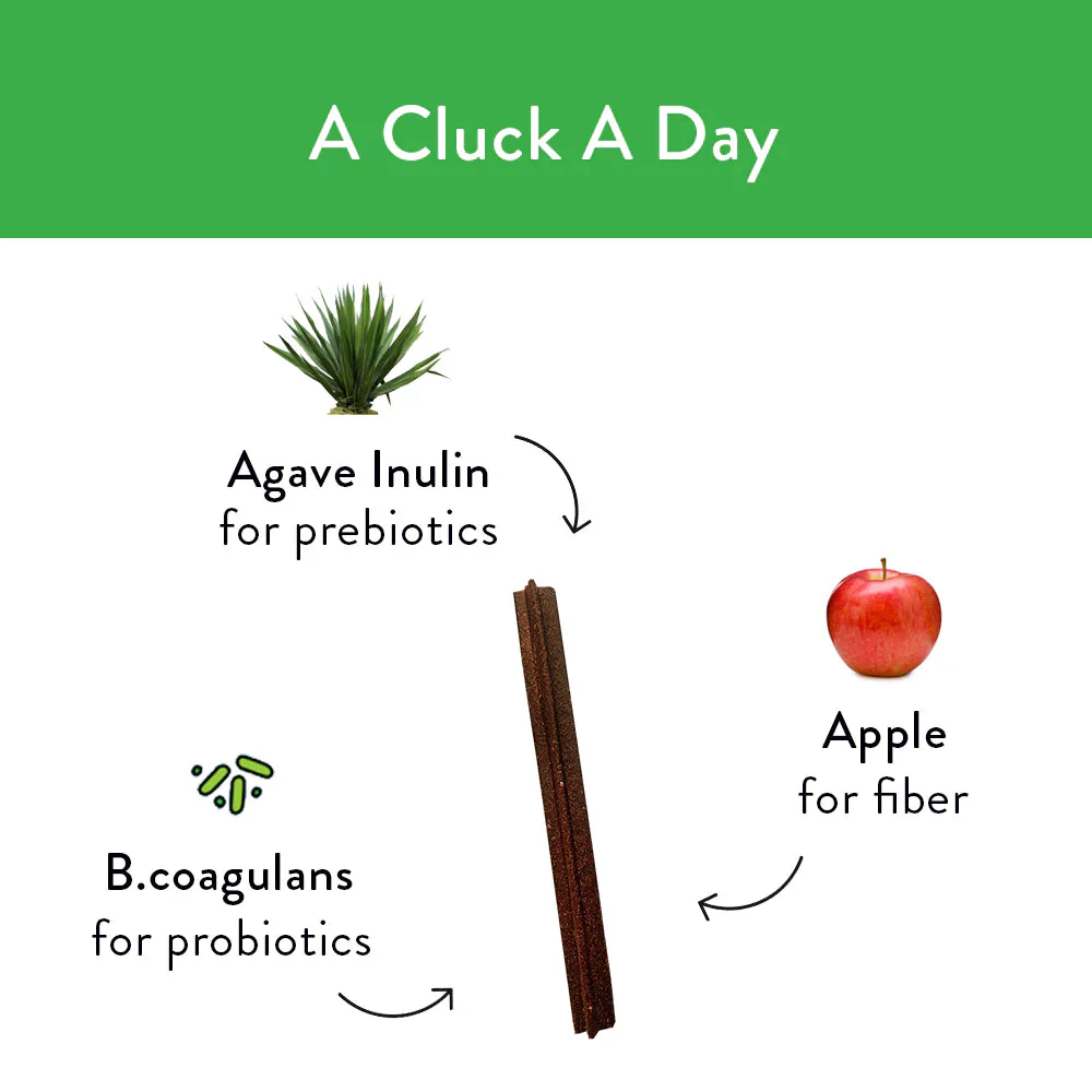 Shameless Pets A Cluck A Day Dental Sticks Dog Treats - Image 4