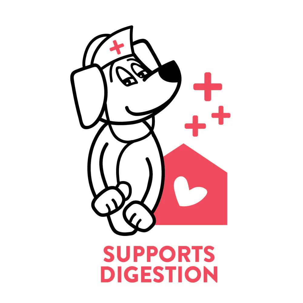 Shameless Pets A Cluck A Day Dental Sticks Dog Treats - Image 6