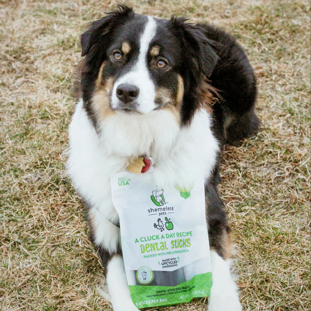 Shameless Pets A Cluck A Day Dental Sticks Dog Treats - Image 7