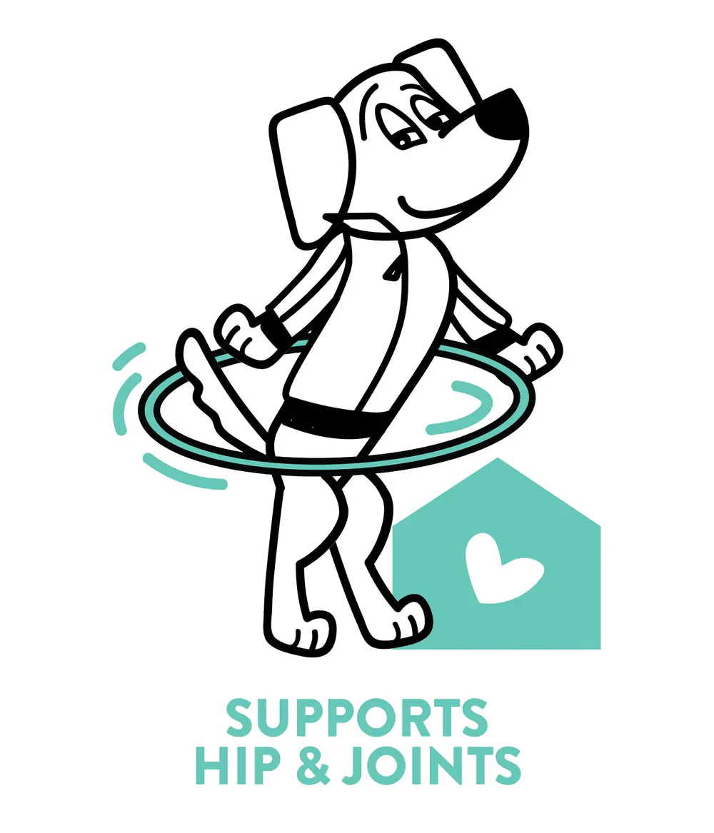 Shameless Pets Banana Bone-Anza Dental Sticks Dog Treats - Image 6