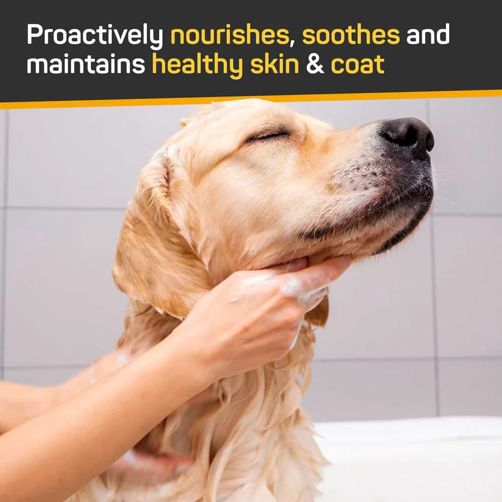 Silver Honey Skin & Coat Care Nourish & Soothe Shampoo with Odor Neutralizer - Image 3