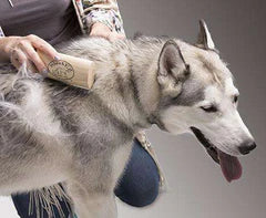 Sleekez Grooming Tool - Image 2