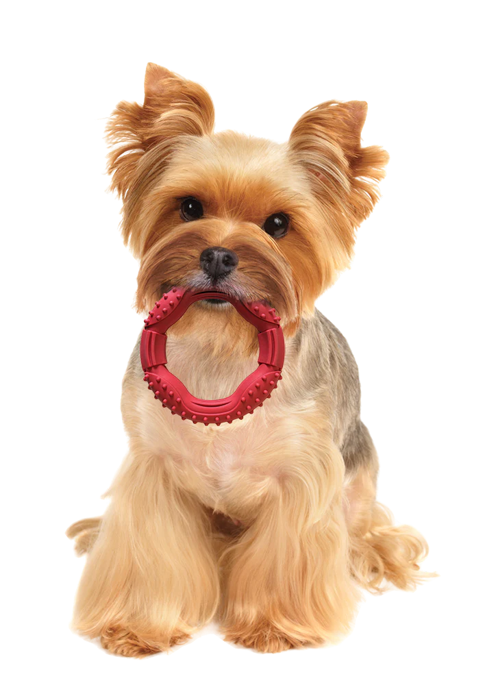 Ethical SPOT Barrett Tough Ring Dog Toy - Image 2
