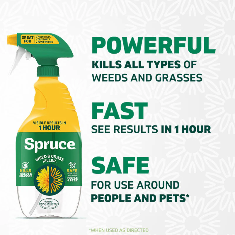 Spruce 24oz Spray Weed & Grass Killer - Image 2