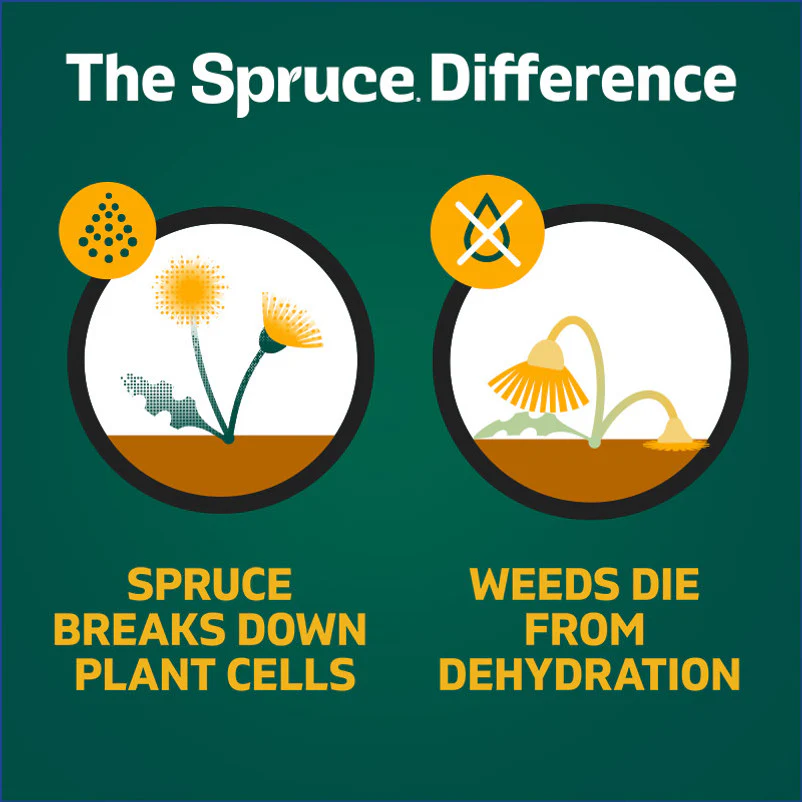 Spruce 24oz Spray Weed & Grass Killer - Image 4