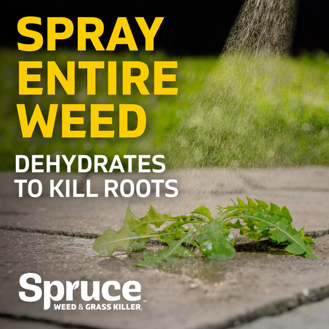Spruce 24oz Spray Weed & Grass Killer - Image 9