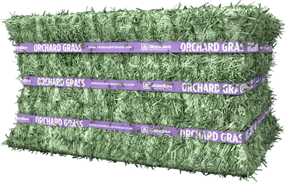 Standlee Premium Orchard Grass Compressed Bale