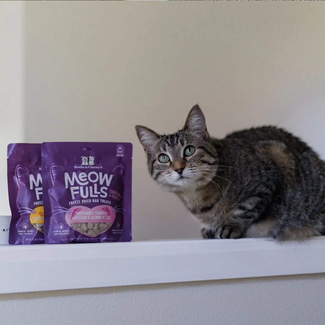 Stella & Chewy's Meowfulls Whitefish & Salmon Cat Treats - Image 3