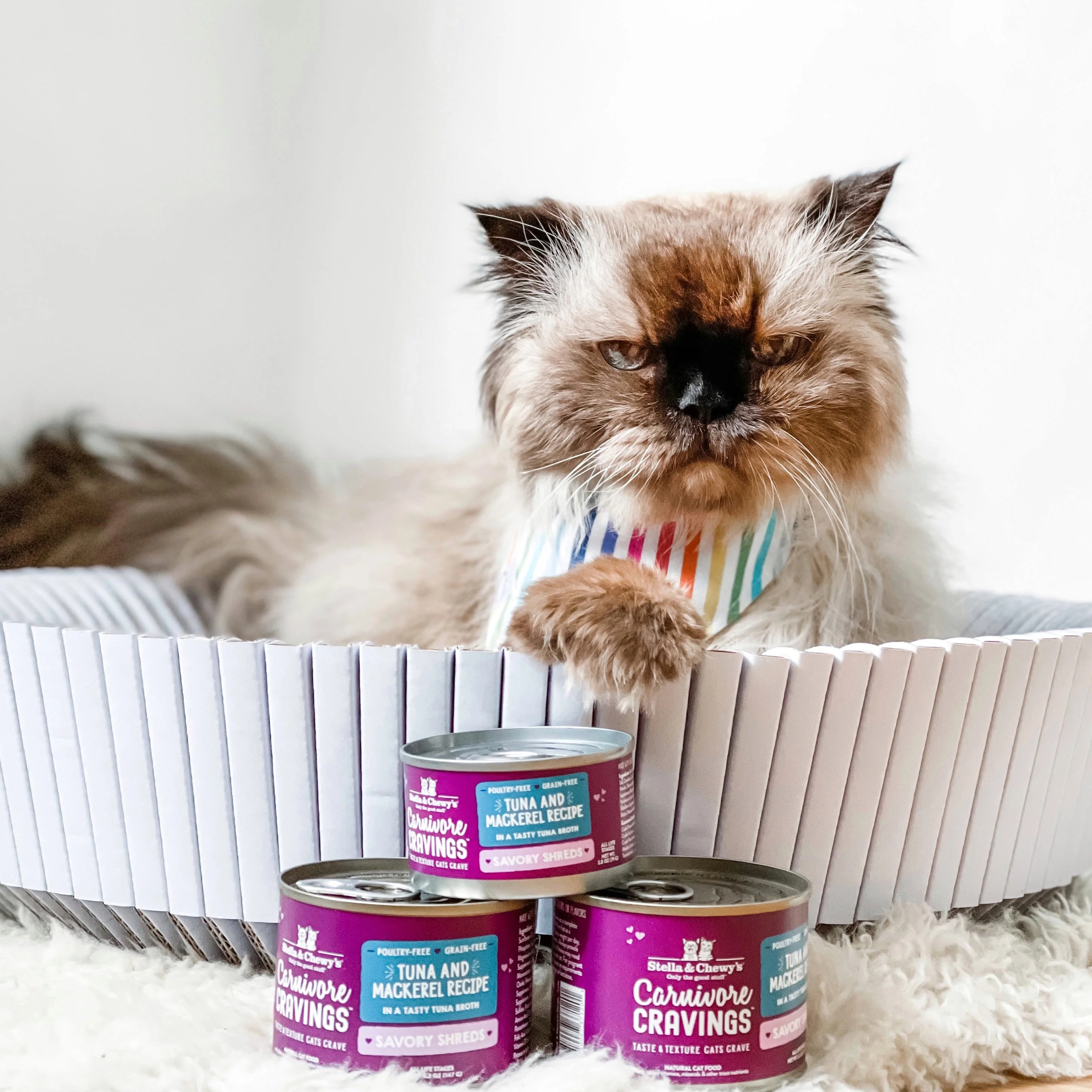Stella & Chewy's Carnivore Cravings Savory Shreds Tuna & Mackerel Dinner Recipe Wet Cat Food - Image 4
