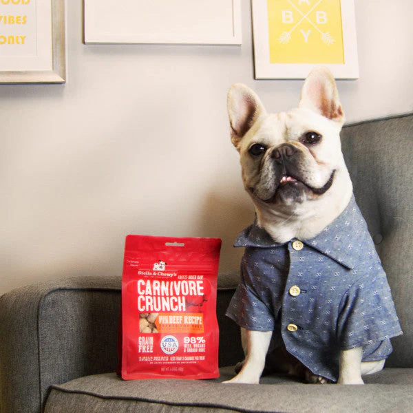 Stella & Chewy's Carnivore Crunch Grain Free Beef Recipe Freeze Dried Raw Dog Treats - Image 3