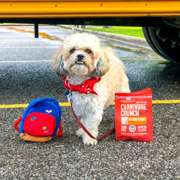 Stella & Chewy's Carnivore Crunch Grain Free Beef Recipe Freeze Dried Raw Dog Treats - Image 4