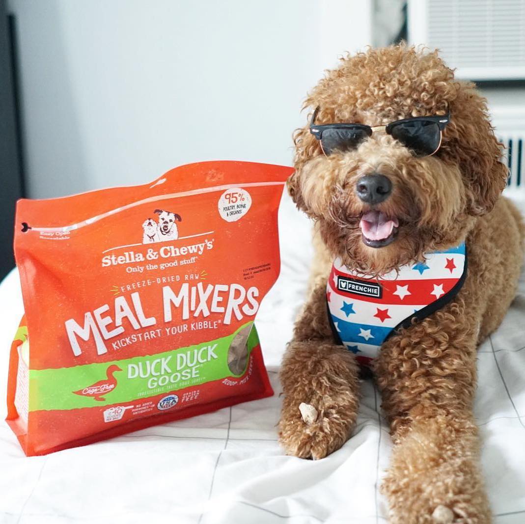 Stella & Chewy's Freeze Dried Duck Duck Goose Meal Mixers - Image 4