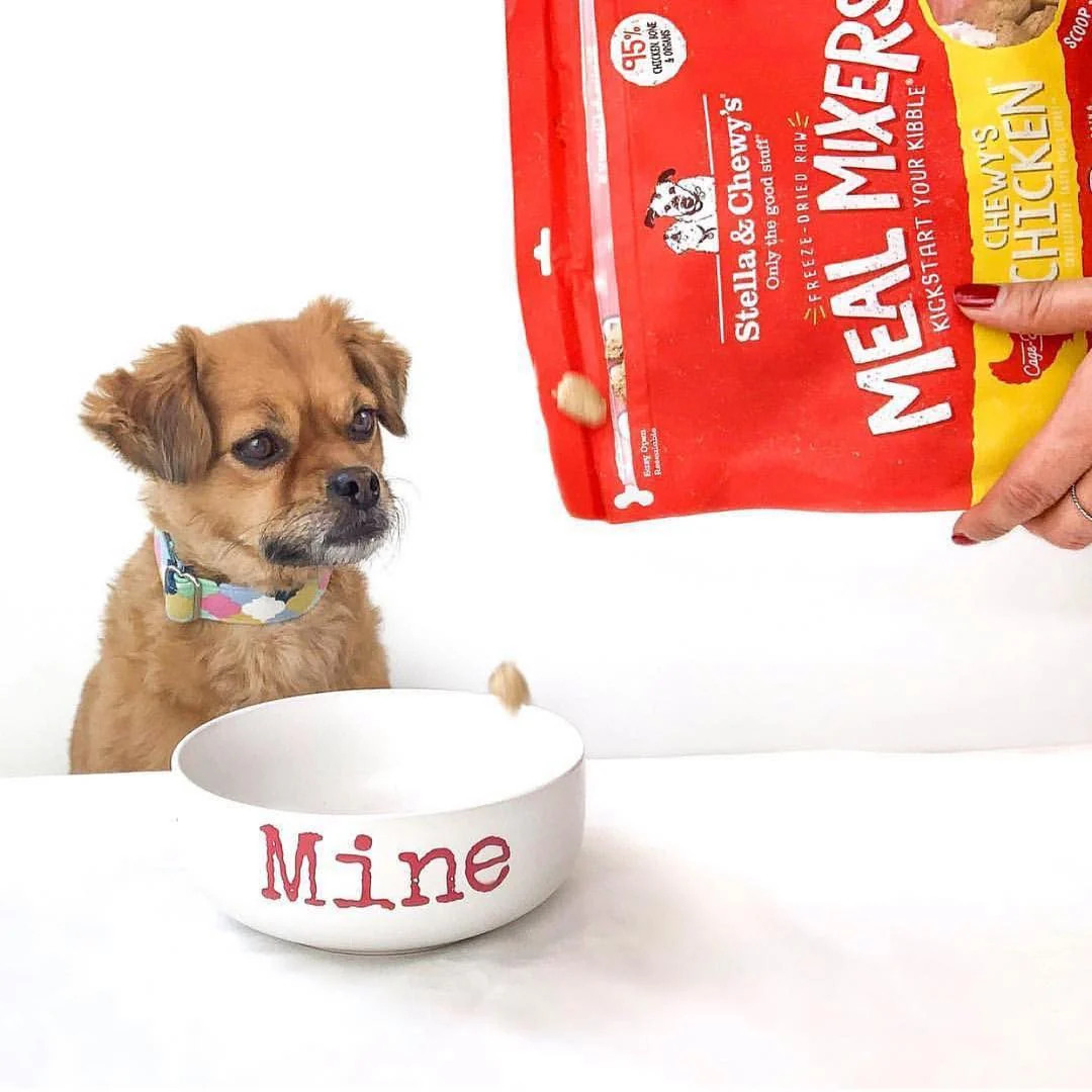 Stella & Chewy's Freeze Dried Raw Chewy's Chicken Meal Mixers Dog Food Topper - Image 6