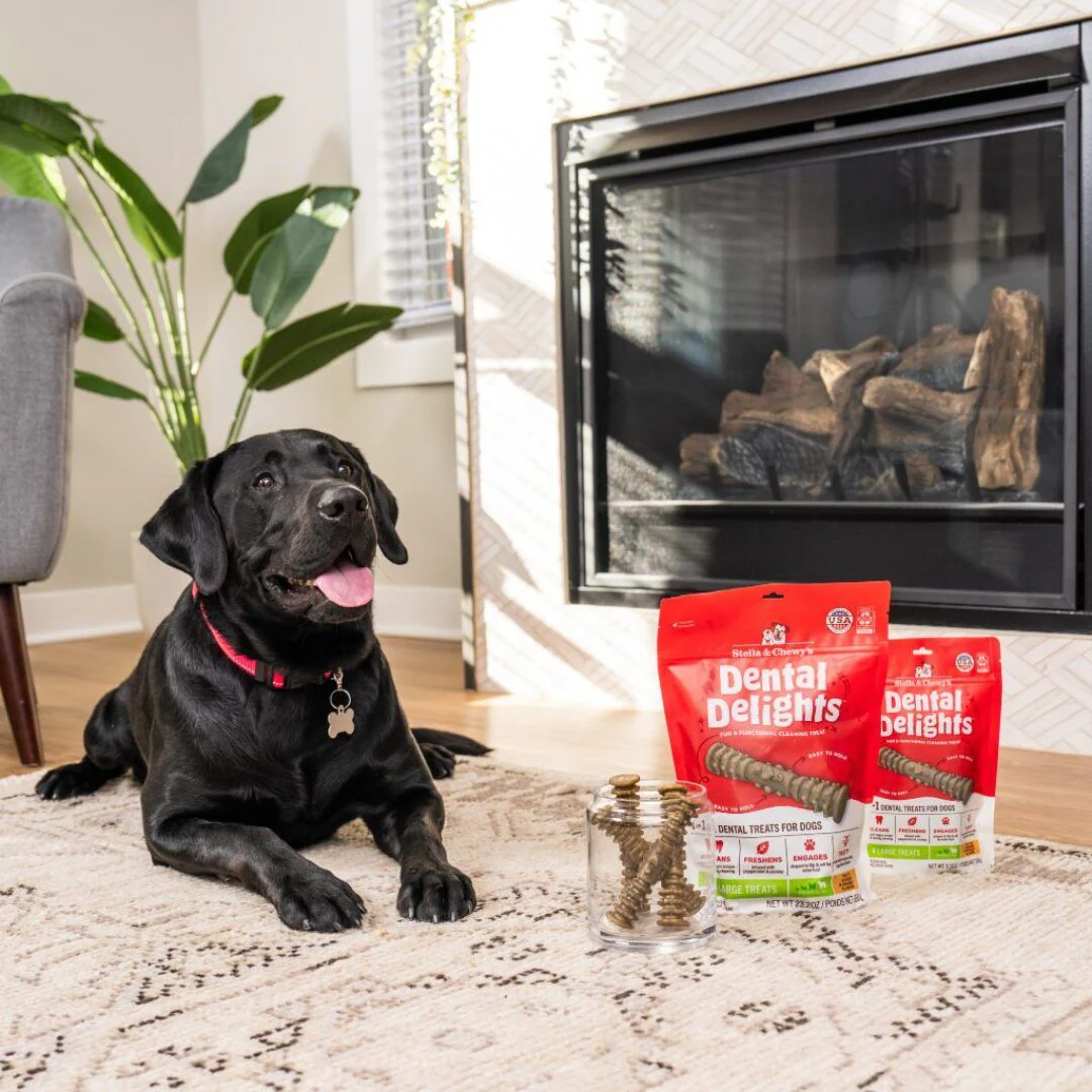 Stella & Chewy's Large Dental Delights Chicken & Parsley Flavor Treats for Dogs - Image 3