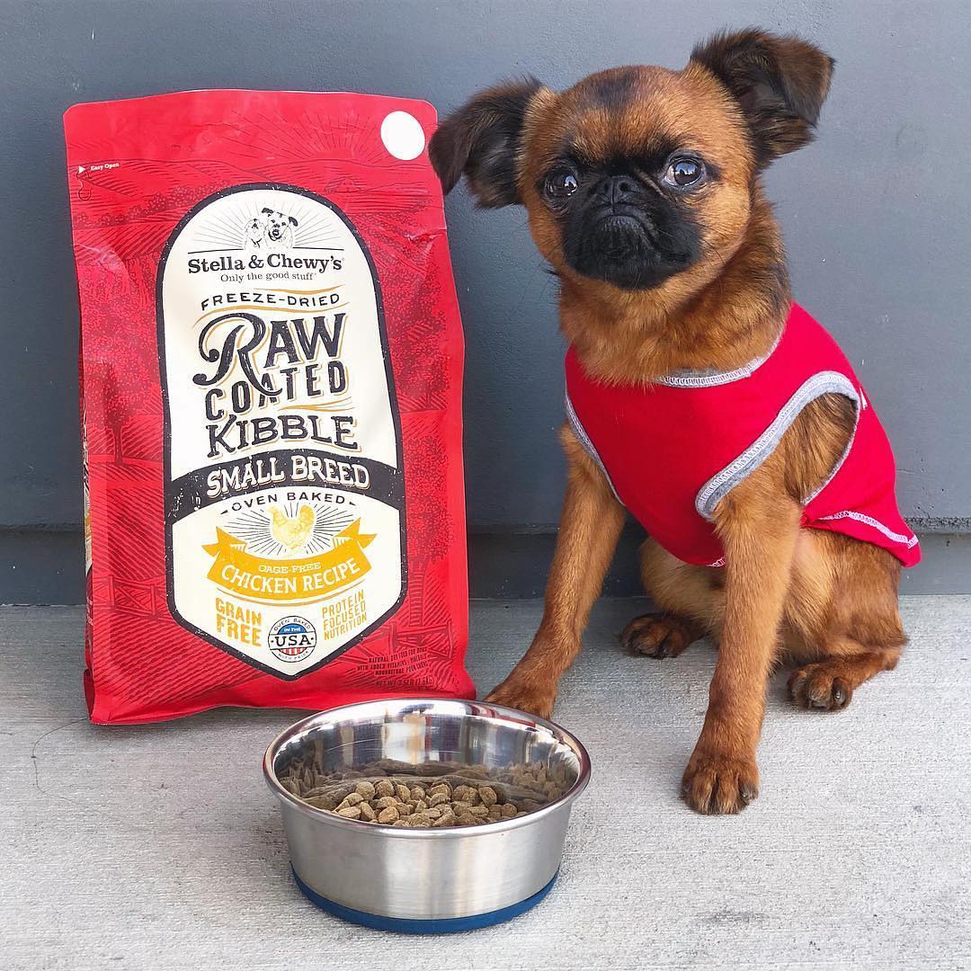 Stella & Chewy's Raw Coated Kibble Cage Free Chicken Recipe Small Breed Dry Dog Food - Image 4