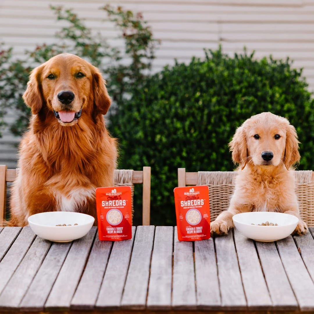 Stella & Chewy's Stella’s Shredrs Cage Free Chicken & Turkey Recipe in Broth - Image 3