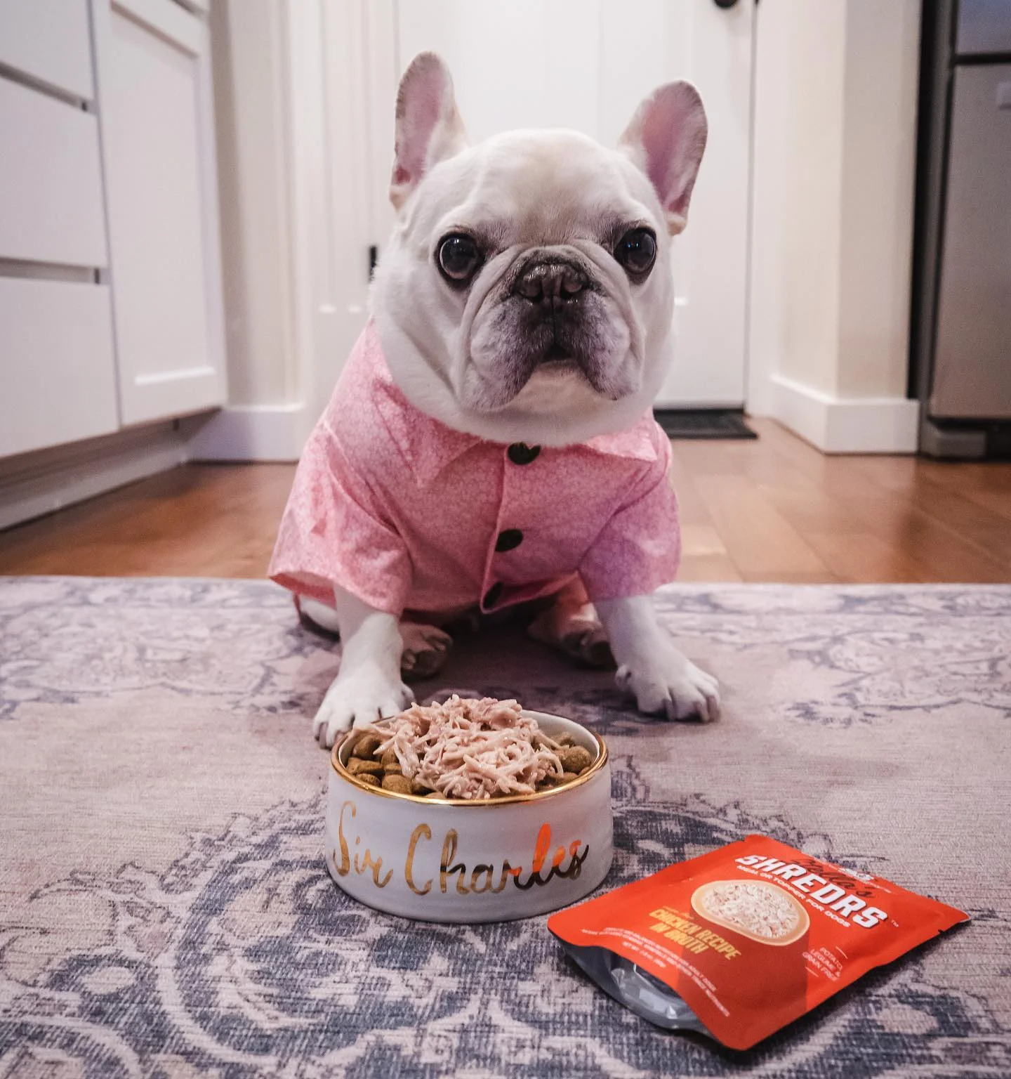Stella & Chewy's Stella’s Shredrs Cage Free Chicken Recipe in Broth - Image 3