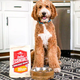 Stella & Chewy's Stella's Essentials Cage-Free Chicken & Ancient Grains Recipe Dry Dog Food - Image 2