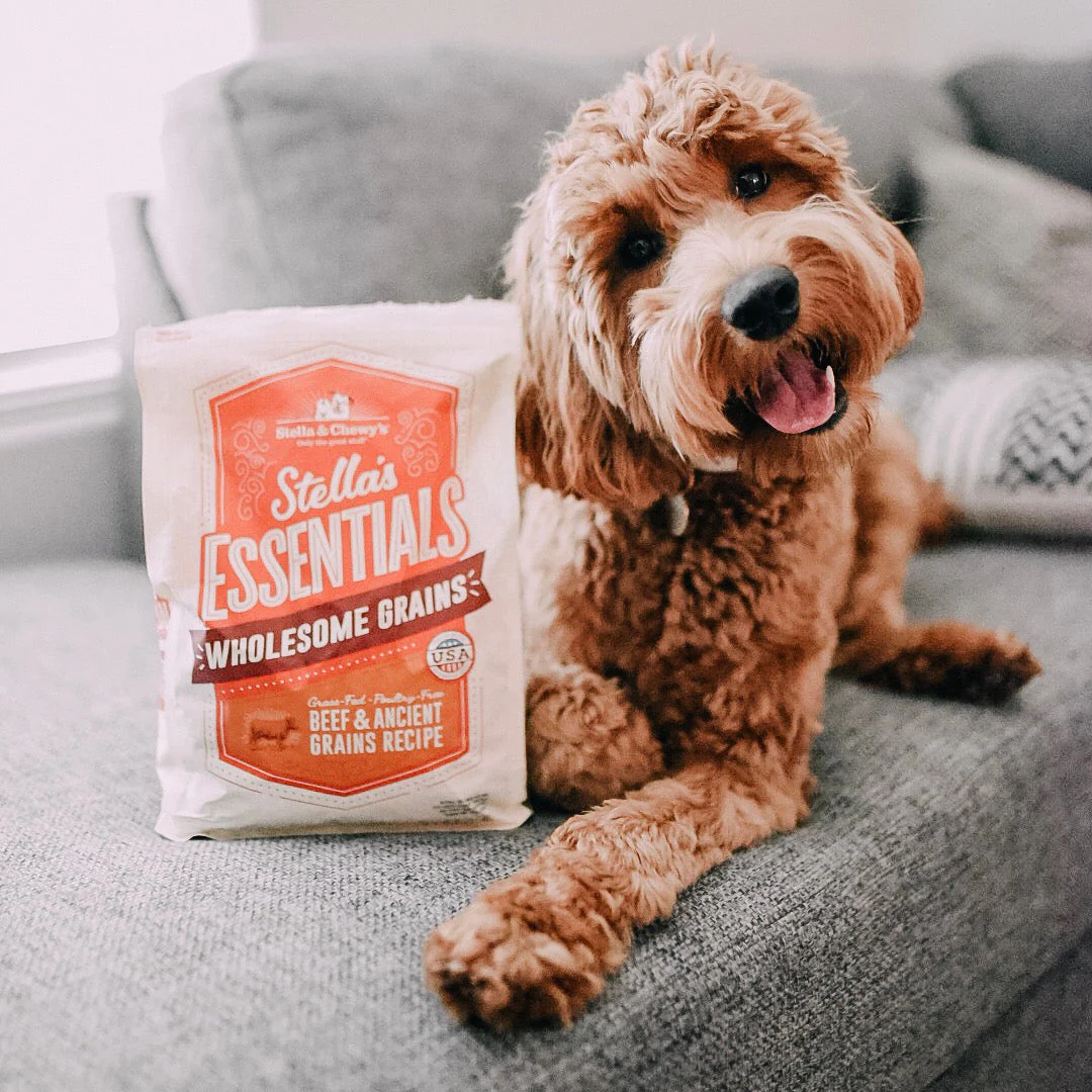 Stella & Chewy's Stella's Essentials Grass-Fed Beef & Ancient Grains Recipe Dry Dog Food - Image 5
