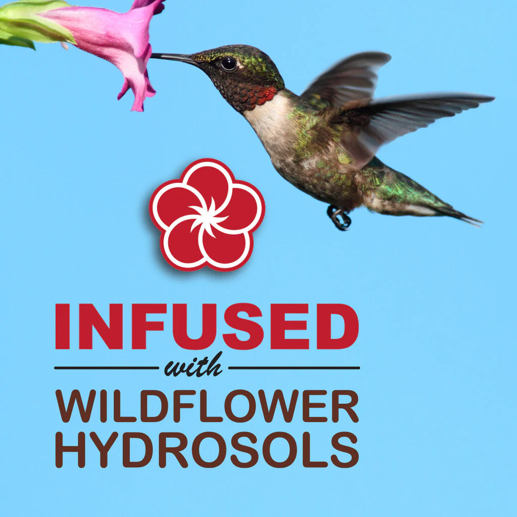 Sweet-Seed Sweet-Nectar™ Hummingbird Nectar Concentrate - Image 4