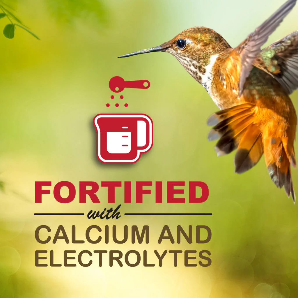 Sweet-Seed Sweet-Nectar™ Ready-to-Use Hummingbird Nectar - Image 6