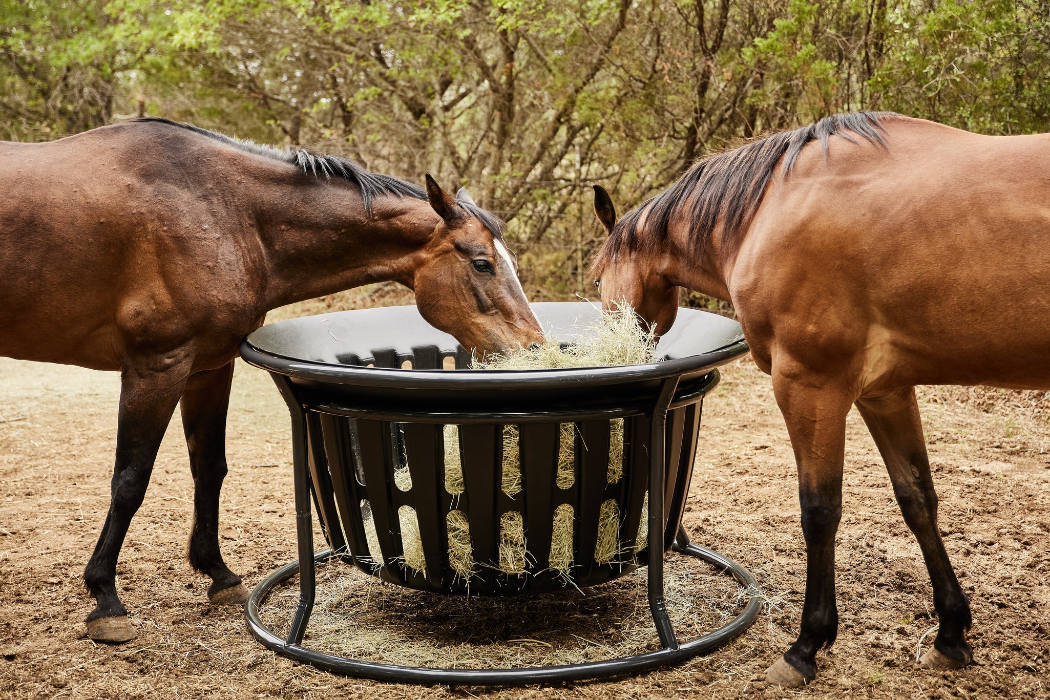 Tarter Equine Hay Basket - Image 2