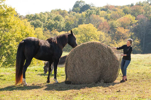 Texas Haynet Round Bale Hay Net - Image 5