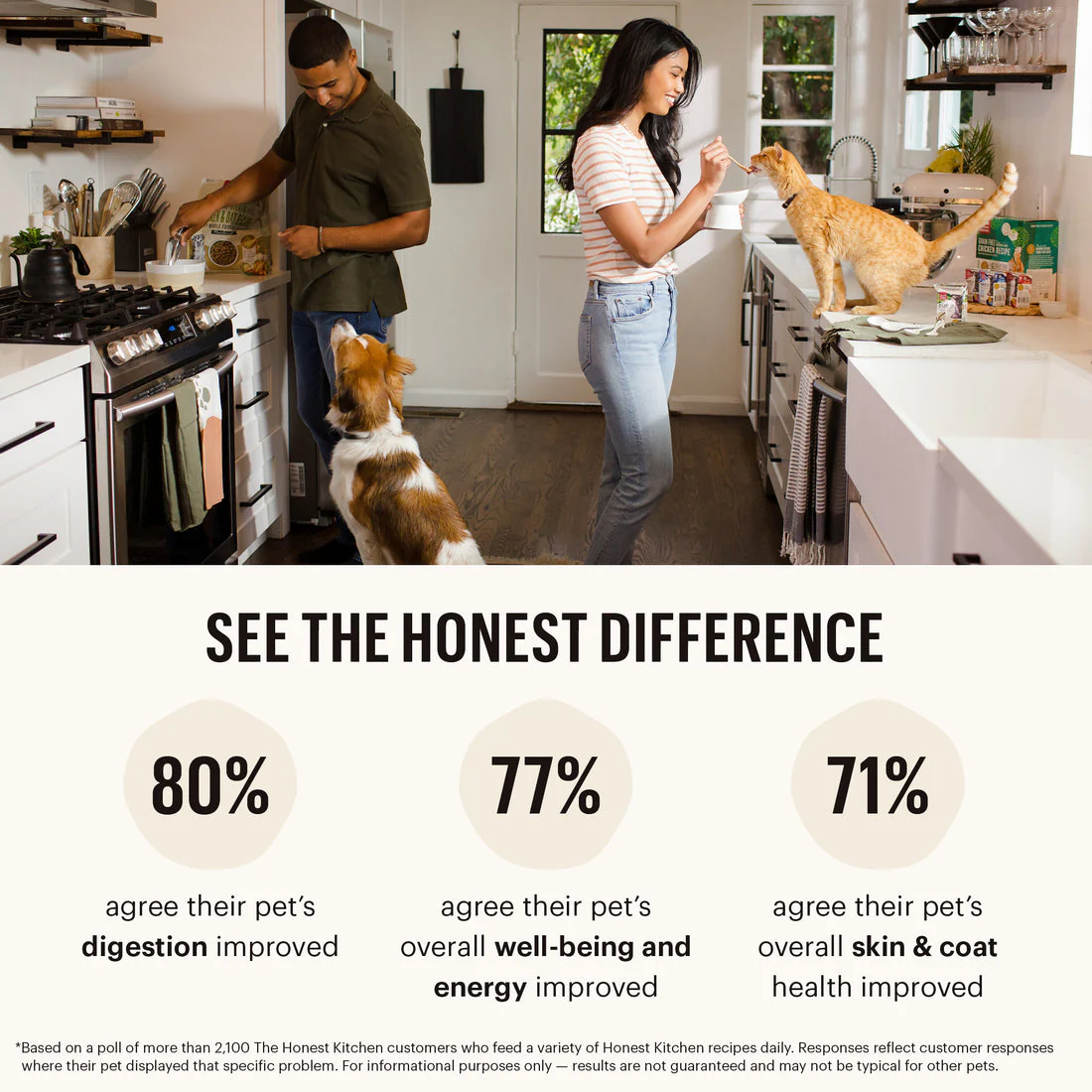 The Honest Kitchen Grain Free Chicken Recipe Whole Food Clusters Dry Dog Food - Image 10