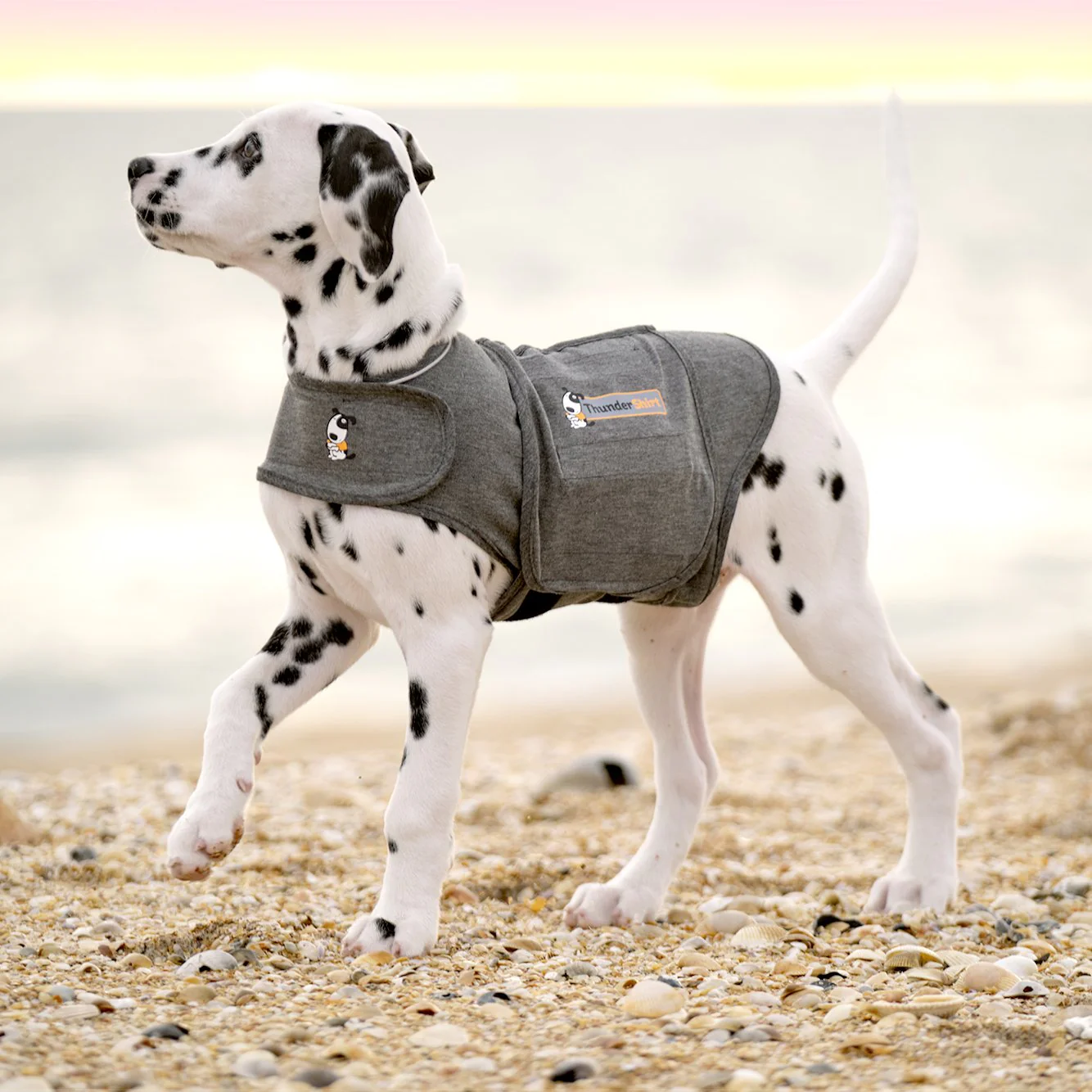 Thunderworks ThunderShirt for Dogs: Heather Gray Classic - Image 3