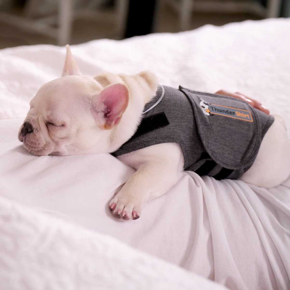 Thunderworks ThunderShirt for Dogs: Heather Gray Classic - Image 4