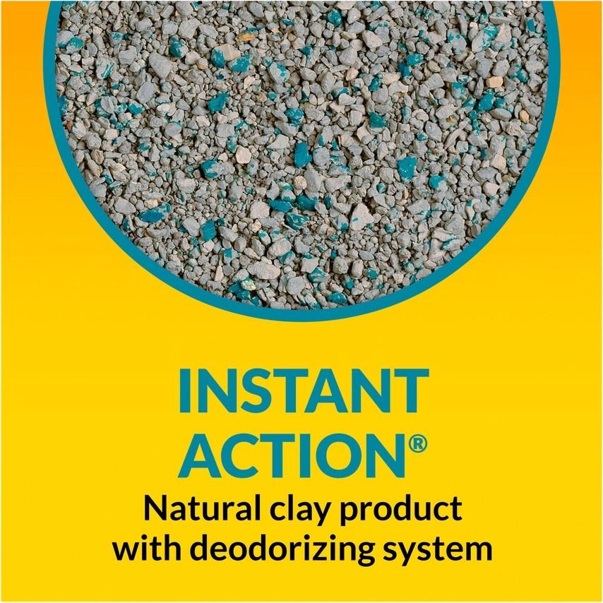 Tidy Cats Non Clumping Instant Action Immediate Odor Control Cat Litter - Image 3