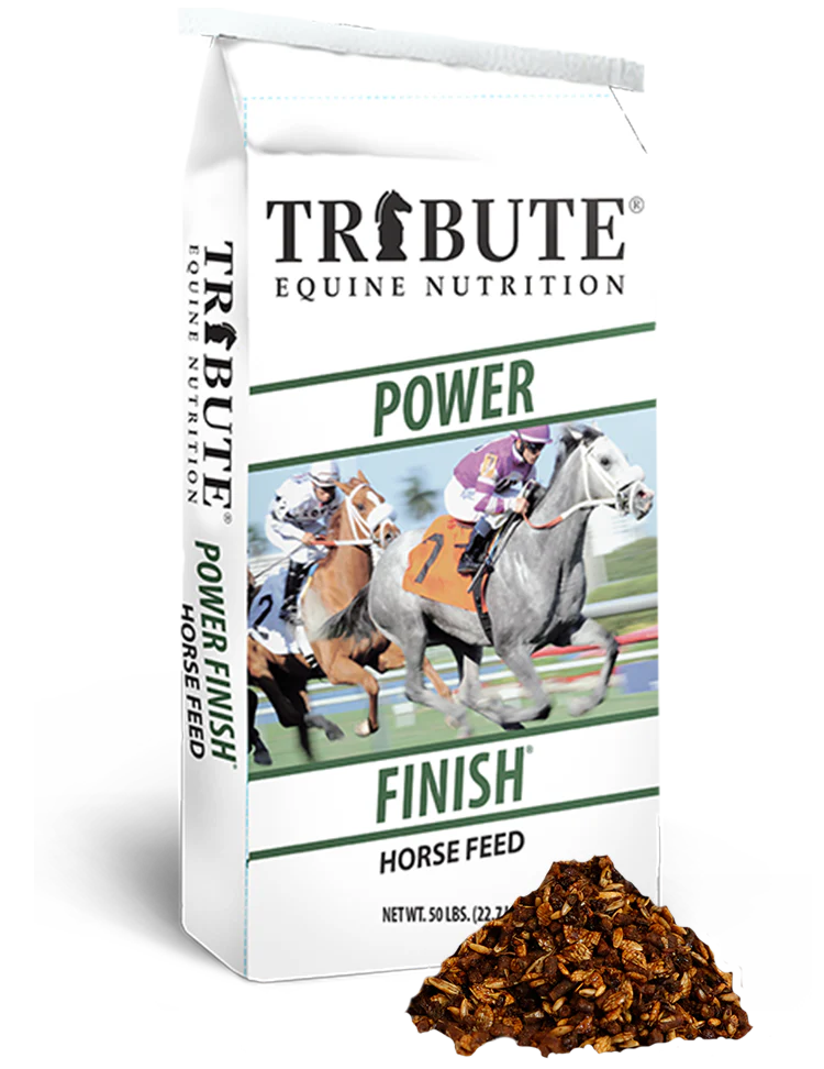 Tribute Power Finish®